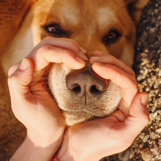 Finde deine Abdruck-Idee!