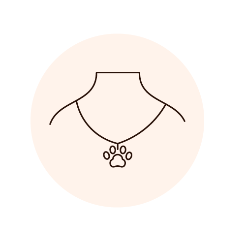 feature-item-4