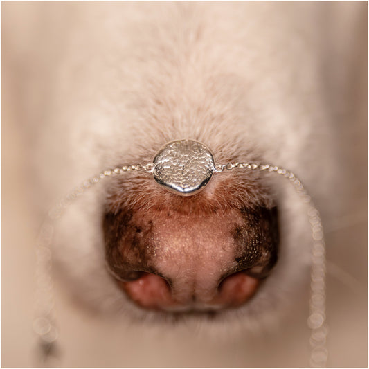 Armband mit Hundenasen Abdruck in Silber