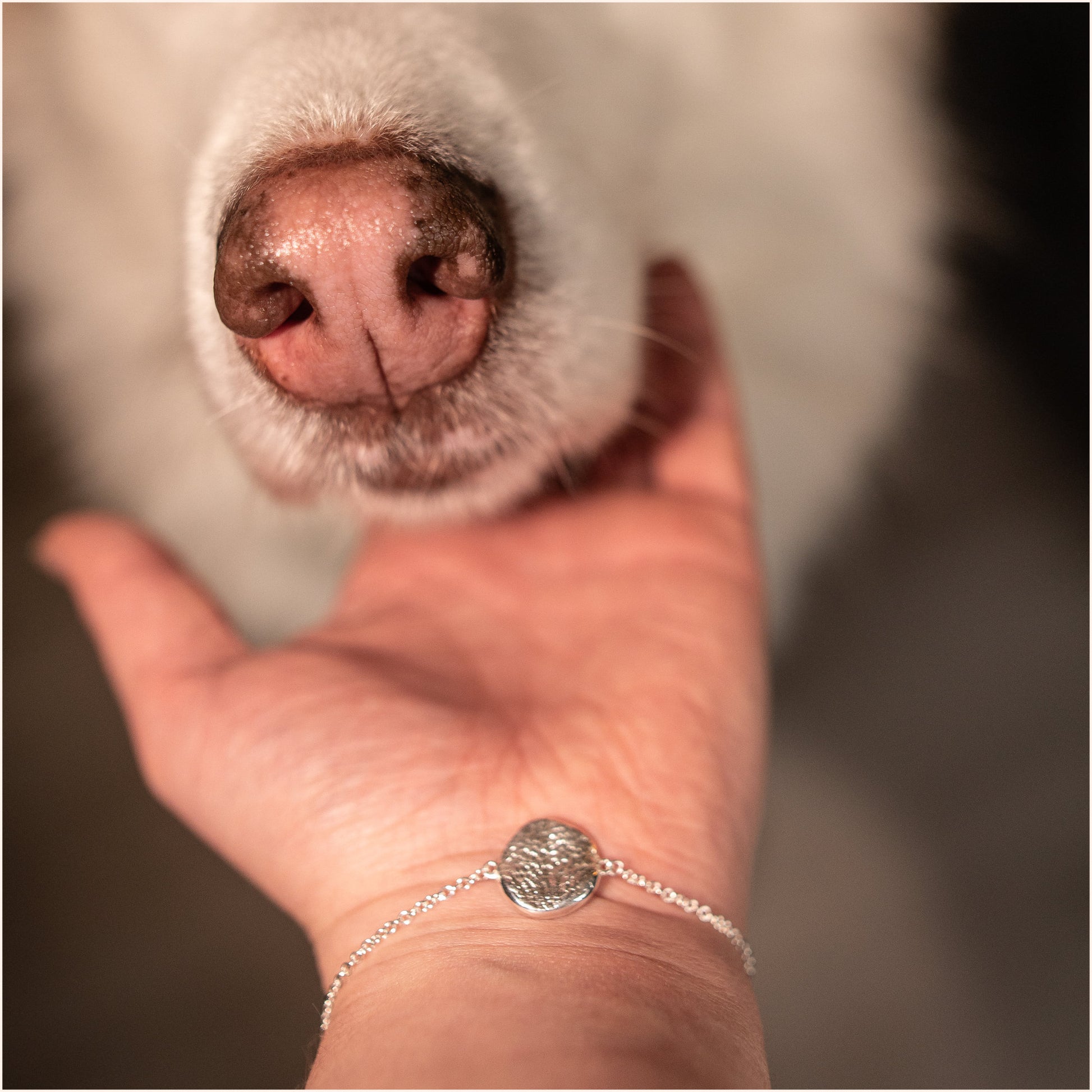 Armband mit Nasenabdruck vom Hund in Silber