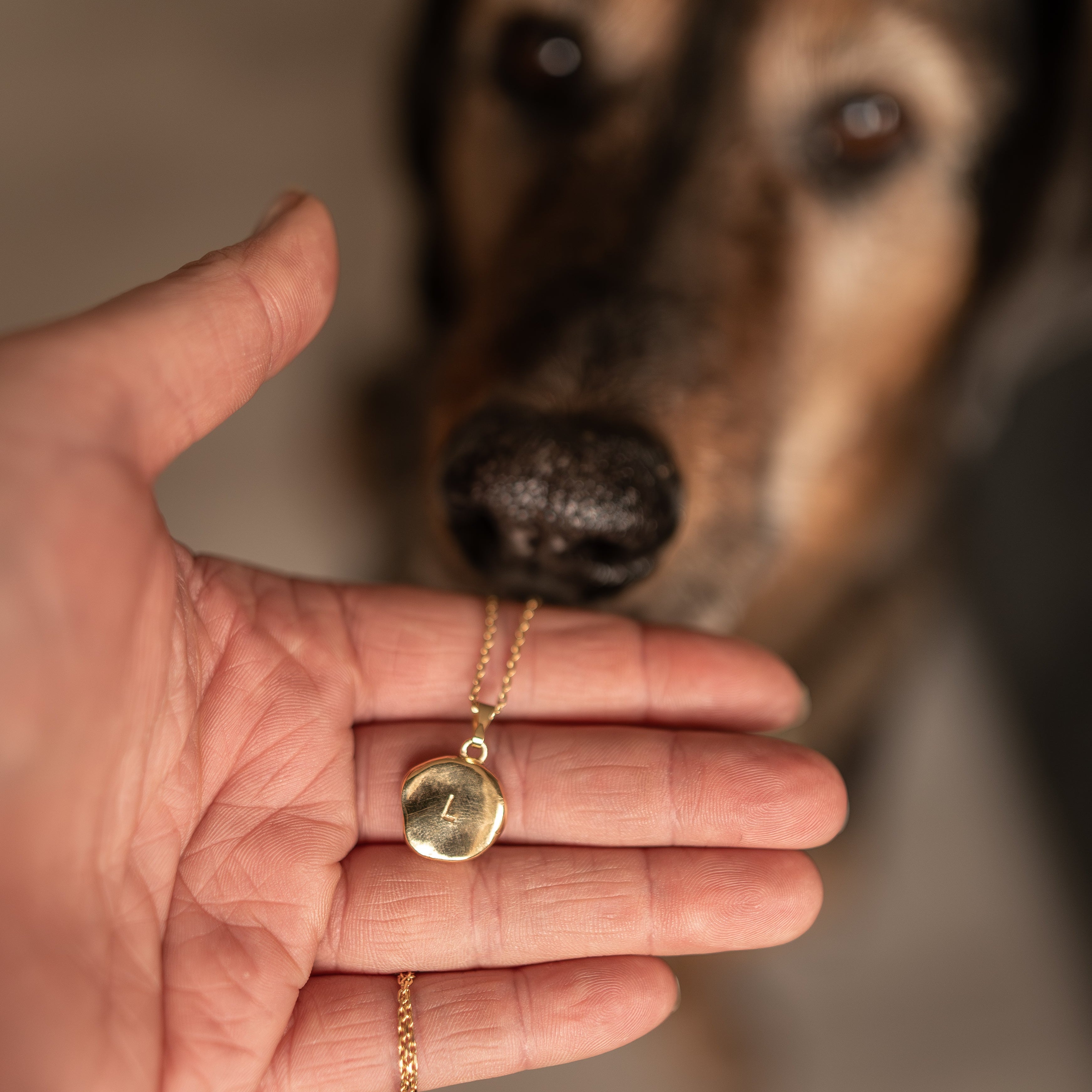 Hundenase mit Ketten Anhänger und personalisierter Gravur