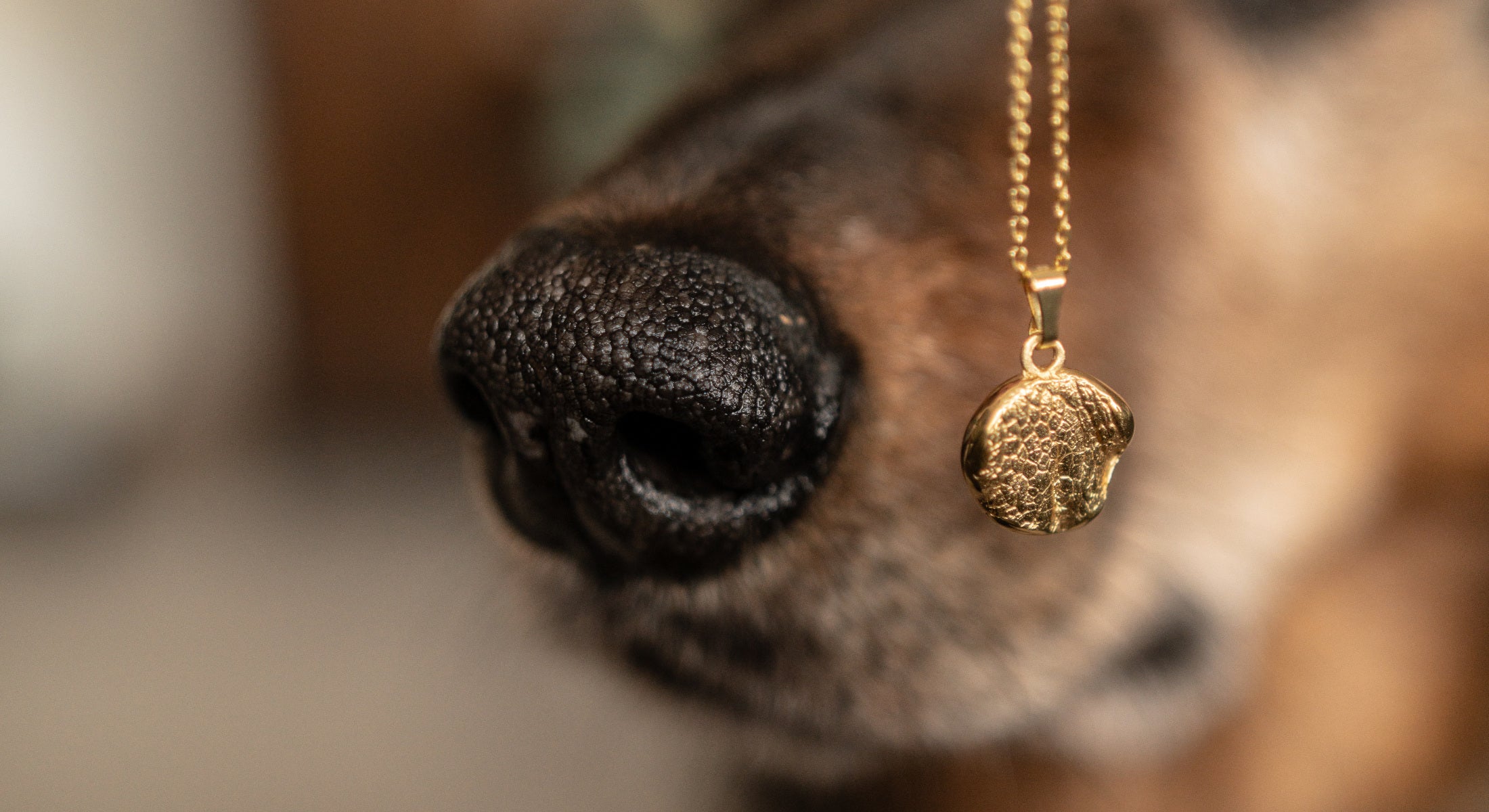 Nahaufnahme einer Hundenase mit vergoldetem Nasen Abdruck als Halskette