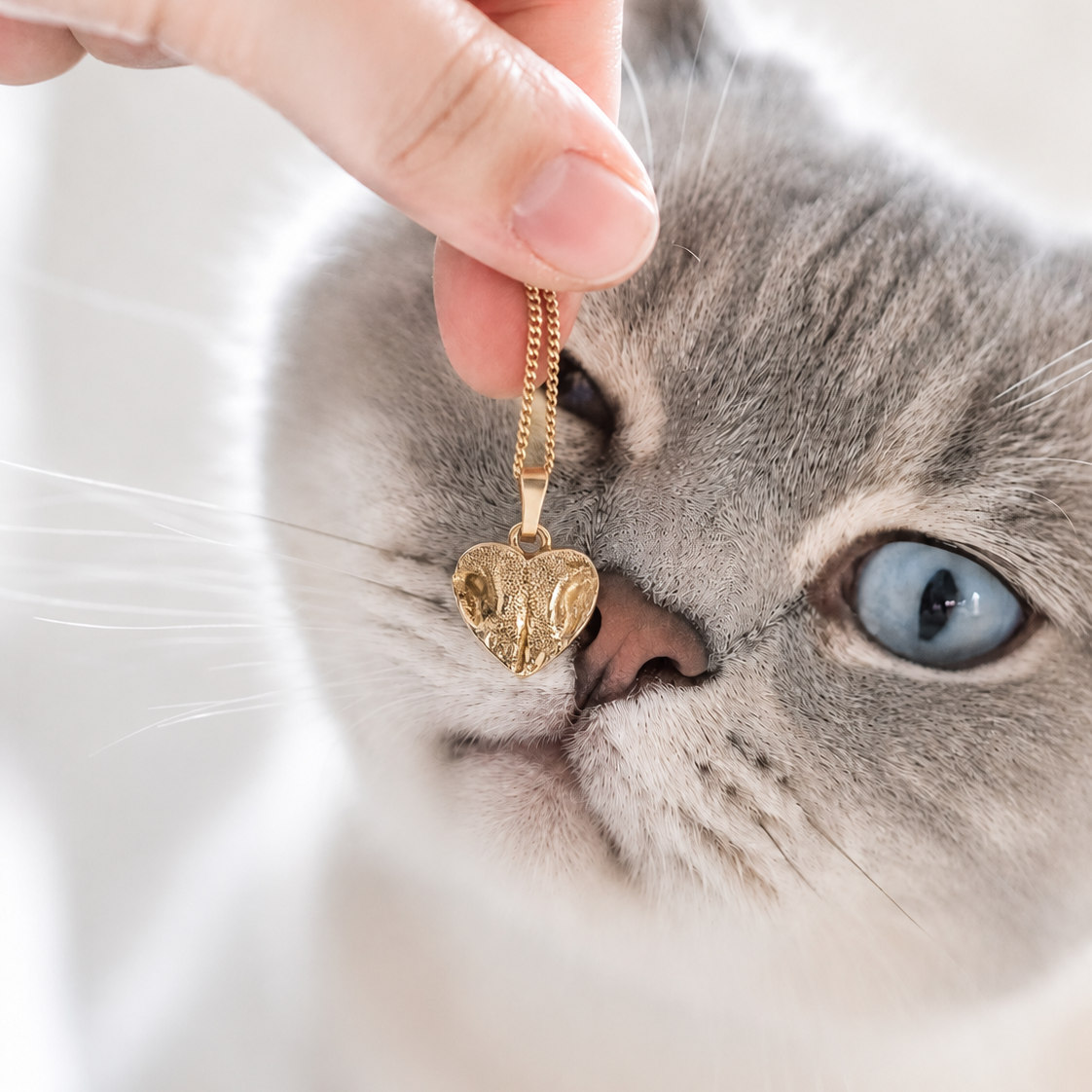 Katzennase als Halsketten Anhänger in herzform Silber vergoldet mit Katzennasen abdruck 