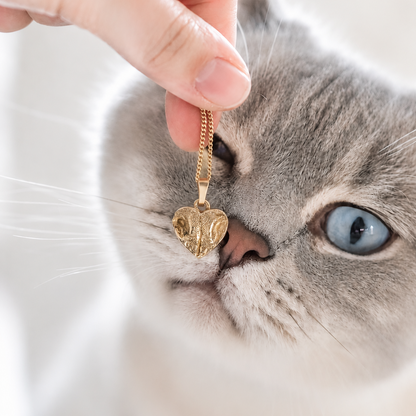 Fingerprint &amp; Pet Print | Heart Necklace