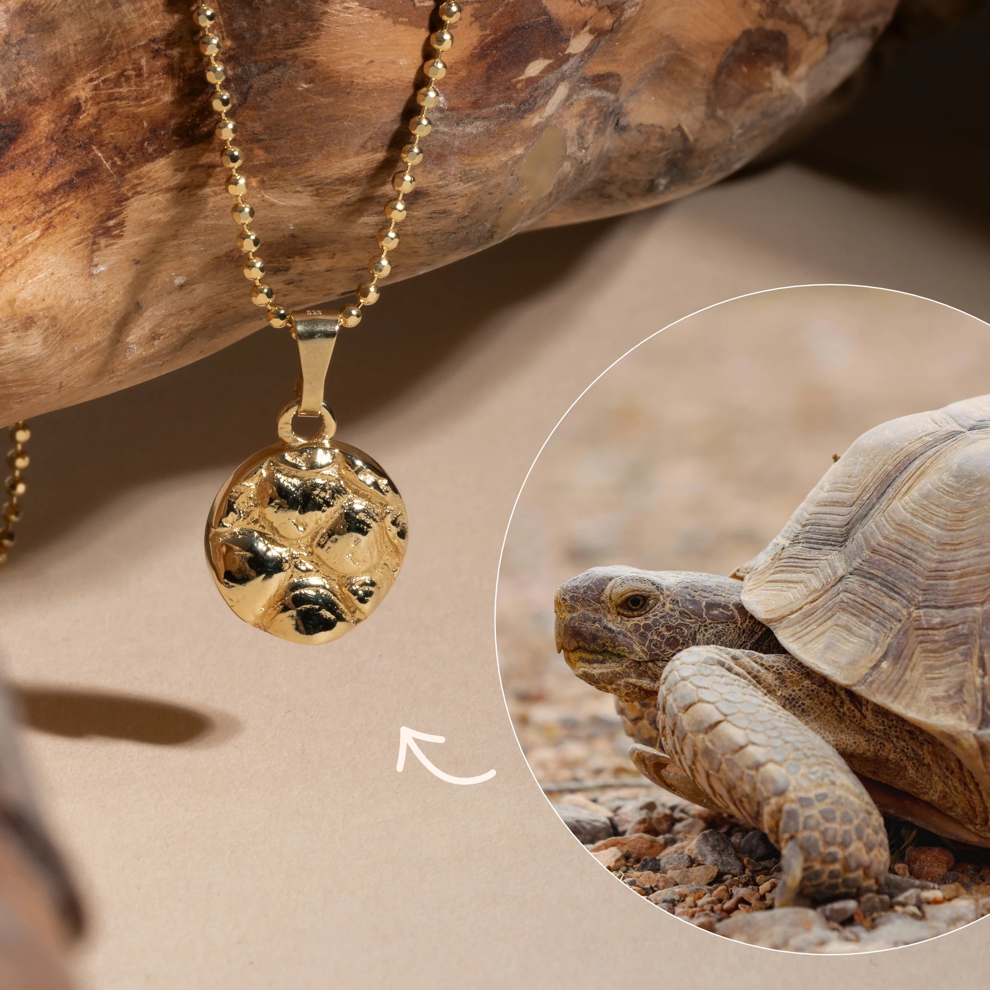 Anhänger Erinnerungsschmuck Schildkröte in Gold und Silber vergoldet 