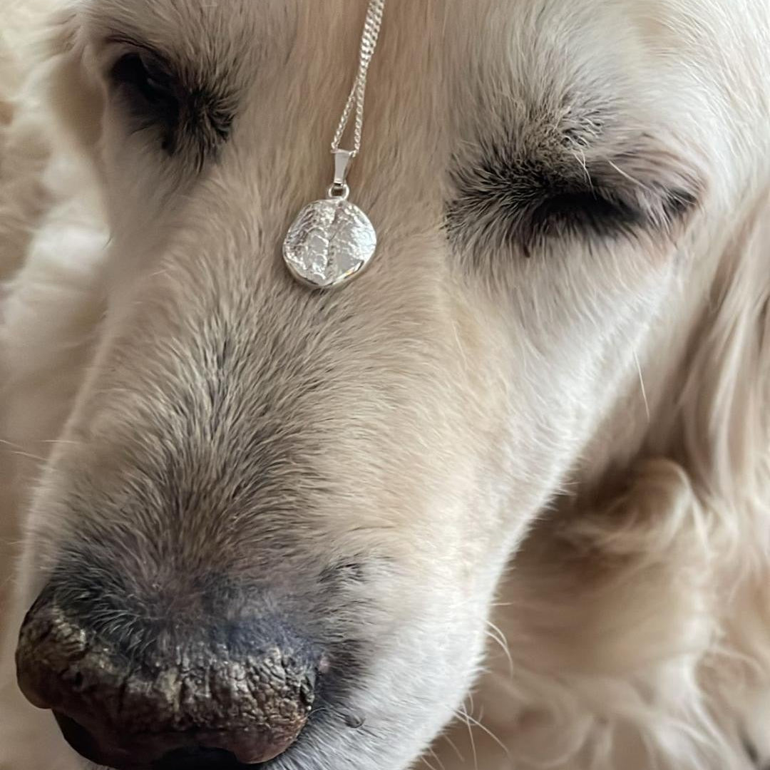 weißer, alter Hund mit Hundenasen Abdruck Schmuck auf der Stirn Erinnerungsschmuck